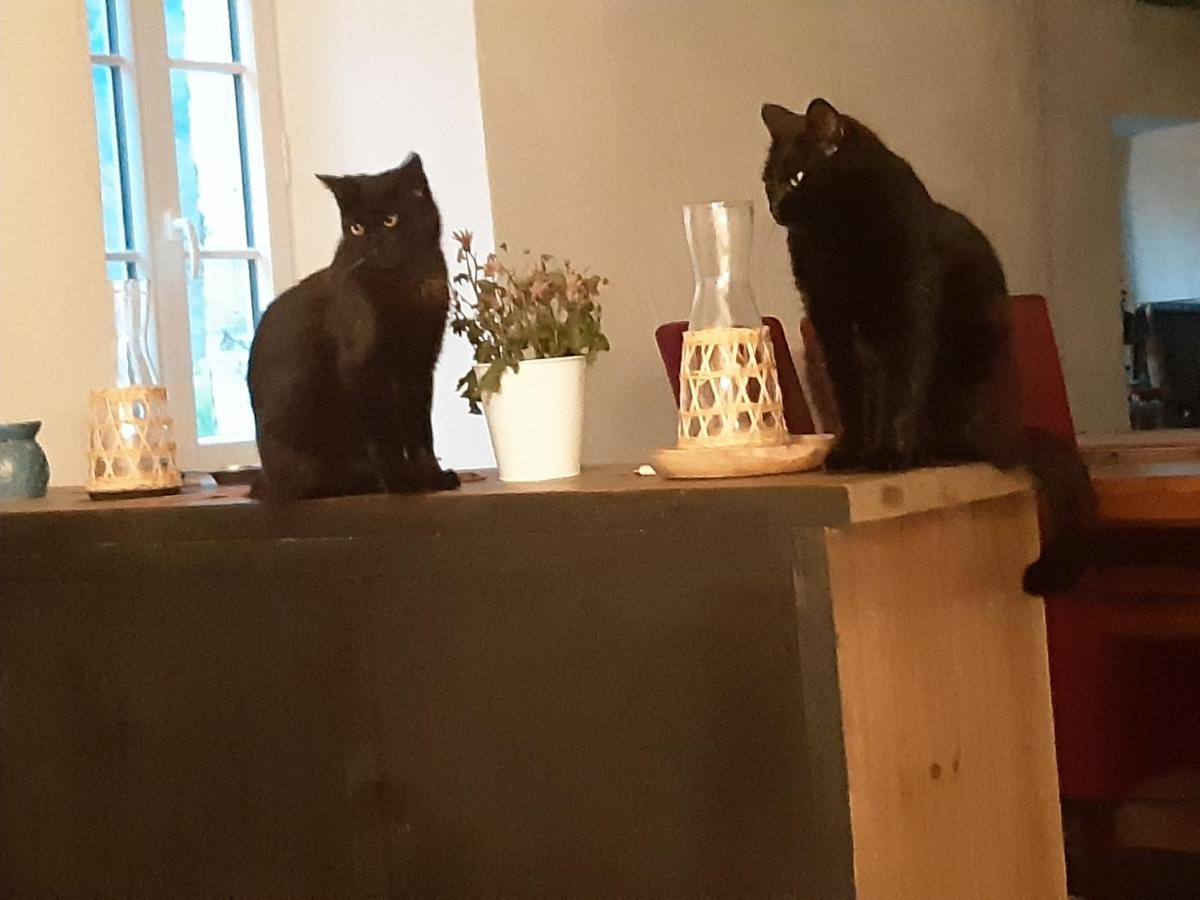 L'Embellie Hotel Thueyts Kültér fotó